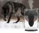 Gaisa mitrinātājs un difuzors Carruzzo Wolf 1