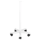 Sejas tvaicētājs (Vapozons) Azzurro H1106 Sonia
