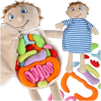 Anatomijas apguves lelle zēns - izglītojoša mīkstā rotaļlieta (48 cm)