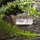 USB zibatmiņa Intenso Green Line 128 GB USB 3.2 Gen 1 balta