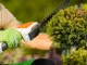 Akumulatora zāles un krūmu šķēres 2-in-1, balts/oranžs