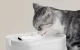 Petlibro Dockstream ūdens strūklaka ar bezvadu sūkni, 2.5L