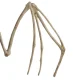 Sikspārņa skelets Helovīna dekorācija Malatec, 28 cm