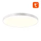 Viedais griestu gaismeklis Gosund LB11 32cm WiFi/Bluetooth RGBCW 1920lm ar pulti