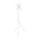 Maclean MC-181 W TV grīdas statīvs (27-55\", 60kg, VESA 200x200)