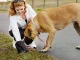 Suņu ekskrementu maisiņi, 50 ruļļi ar dozatoru, melni