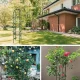 Kolonnveida dārza pergola ziediem | Column Pergola for Garden and Home