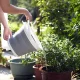 Liels saliekams silikona spainis ar rokturi 5L pelēkbalts