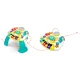 Ricokids muzikālais aktivitāšu galdiņš ar Bluetooth RK-812