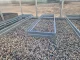 Paaugstinātā dārza dobe Klasika Garden 1500x500x100mm, Cinka