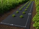 Biezs melns agroplēves segums pret nezālēm 50g/m² 1x20m