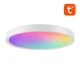 Viedais griestu gaismeklis Gosund LB12, 30 cm, WiFi/Bluetooth, RGBCW, ar tālvadības pulti