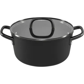 Katls ar stikla vāku ZWILLING Milano, 24 cm, melns