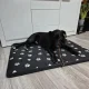 Purlov XXL Suņu Gulta 100x70 cm