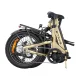 Saliekams elektriskais velosipēds ENGWE L20 3.0 Pro 250W 20\", zelta