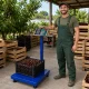 Elektroniskie platformas svari 100kg LCD zili