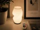 2-in-1 LED RGB galda lampa un vāze ar pulti, Ecru