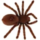 Tālvadības tarantuls, RC pająk, brūns