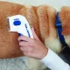 Elektriskā ķemme pret blusām suņiem un kaķiem