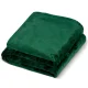 Elektriskā apsildāmā sega 180x160cm Berdsen BD-960 | Electric Blanket