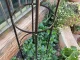 Dārza Pergola Ziedu Balsta Kolonna Augiem Arka Rozēm, 190cm | Garden Flower Support Column for Climbing Plants