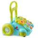 Attīstošais staigulis ar mūziku 2-in-1 Ricokids RK-744, tirkīza