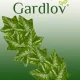 Gardlov mākslīgā efeja - vītne 6,3 m, zaļa