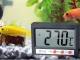 Digitālais termometrs ar 100 cm zondi akvārijam un ledusskapim