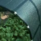 Ēnošanas un nožogojuma tīkls JAMAICA 90 g/m² 2 x 5 m, zaļš