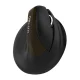 Delux M618 Mini bezvadu ergonomiskā vertikālā pele