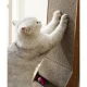 Stūra skrāpis ar rotaļlietu kaķiem, vertikāls kartona kaķu nagu asināmais Purlov | Cat Corner Scratcher with Toy