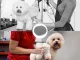 Matu fēns-ķemme mājdzīvnieku kopšanai, masāžas suka suņiem un kaķiem, 2in1 | Pet Grooming Hair Dryer-Comb