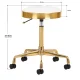 Activeshop H7 Kosmetologa taburete Zelts/Balts