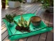 Liels Ziedu Stādu Pārstādīšanas Paklājs | Large Plant Flower Transplanting Mat