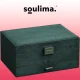 Juvelierizstrādājumu Organizators Bižutērijas Rotaslietu Uzglabāšanas Kaste Lāde, Zaļš | Jewelry Organizer Box