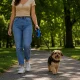 Automātiskā pavada suņiem 5m, līdz 15kg