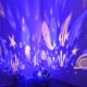 Izoxis Nakts lampa ar projektoru (zvaigznes / zemūdens pasaule), melna