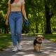 Automātiskā pavada suņiem 5m, līdz 15kg