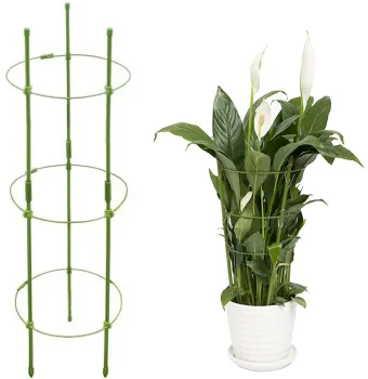 Gredzenveida balsts augiem un ziediem, 60 cm