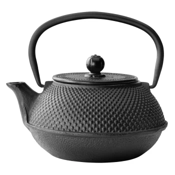 Bredemeijer Jang čuguna tējkanna ar filtru 0,8 l, melna G001Z