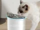 Automātiskā dzirdinātava kaķiem 2.2L ar kustības sensoru un filtru, balta