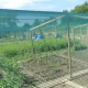 Putnu aizsargtīkls ORTOFLEX 2 x 10 m, zaļš