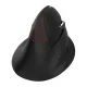 Delux M618 Mini bezvadu ergonomiskā vertikālā pele