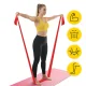 4FIZJO FLAT BAND rehabilitācijas lente 2-4 kg, 30 m, sarkana
