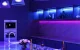 Viedā Wi-Fi LED Lenta Meross MSL320 2x5m RGB HomeKit