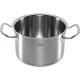 Katls ar vāku Fissler Original-Profi Collection 2 20 cm 4 l