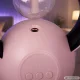 2-in-1 Insektu iznīcinātāja lampa un gaisa mitrinātājs ar USB, LED