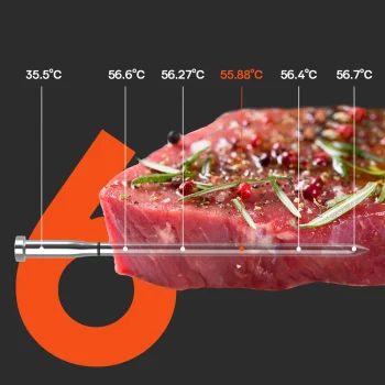 Virtuves termometrs Meatmeet S Pro ar Bluetooth lietotni, pelēks