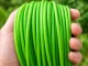Trimmera aukla DIVODV 15m, 2mm, zaļa