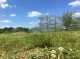 Siltumnīca Baltic Lt 3X4M Ar 4Mm Polikarbonāta Pārklājumu; 4779037491025